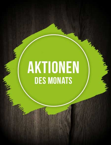 Aktionen